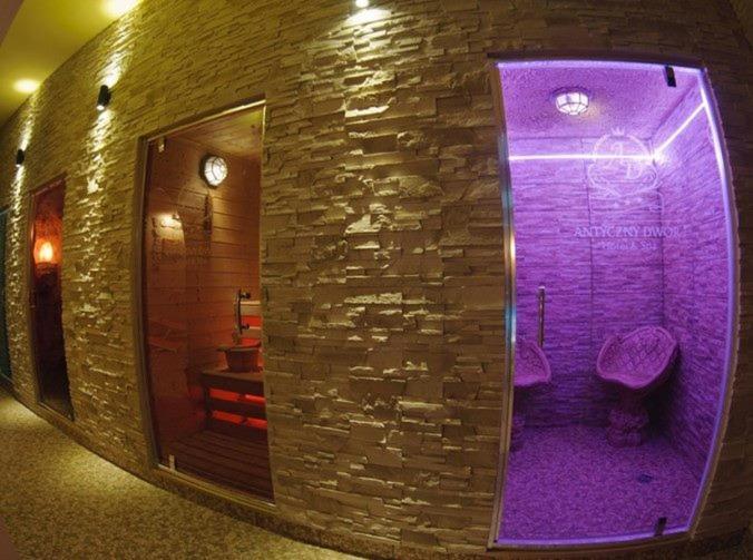 Hotel Wellness & Spa Antyczny Dwor Rudna Mala Екстер'єр фото